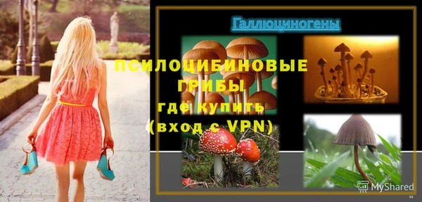 прущий лед Арсеньев