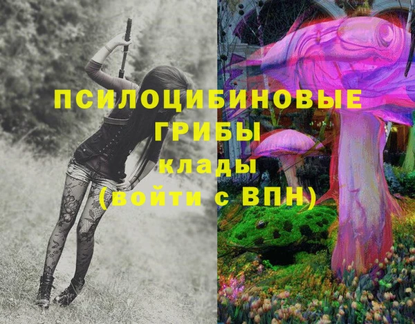 прущий лед Арсеньев