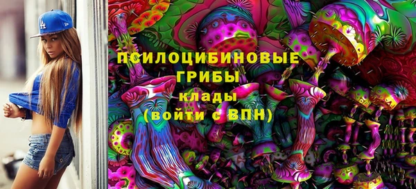 эйфоретик Аркадак