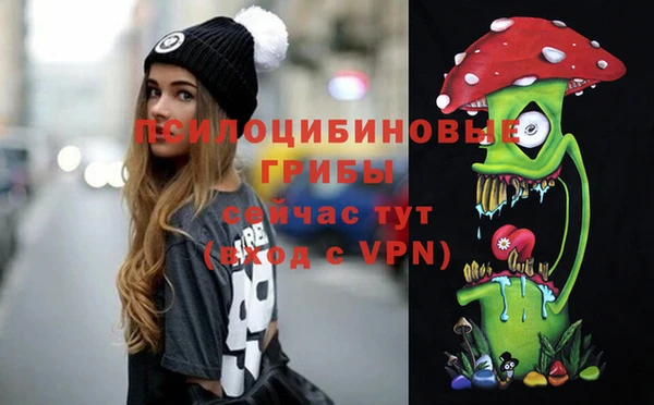 прущий лед Арсеньев
