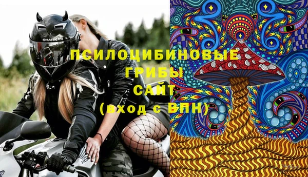 прущий лед Арсеньев
