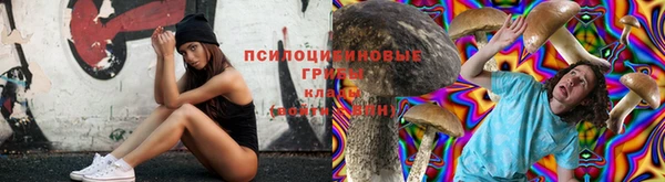 эйфоретик Аркадак